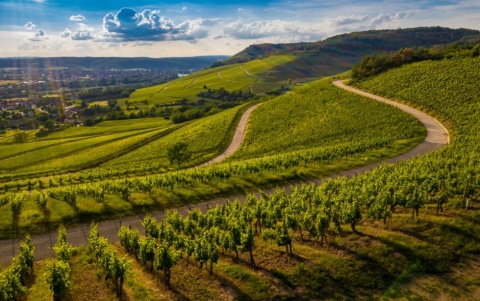 Νέο Σχέδιο για την Ύπαιθρο: Πρόληψη Πυρκαγιών και Αναβίωση Εγκαταλελειμμένων Γαιών